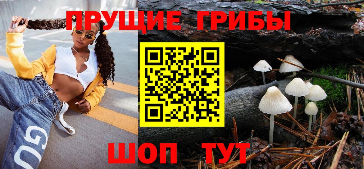 Южноуральск  Псилоцибиновые грибы мицелий  Вход с VPN 